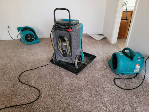 Best Flooded house restoration  in Uvalde Estates, TX