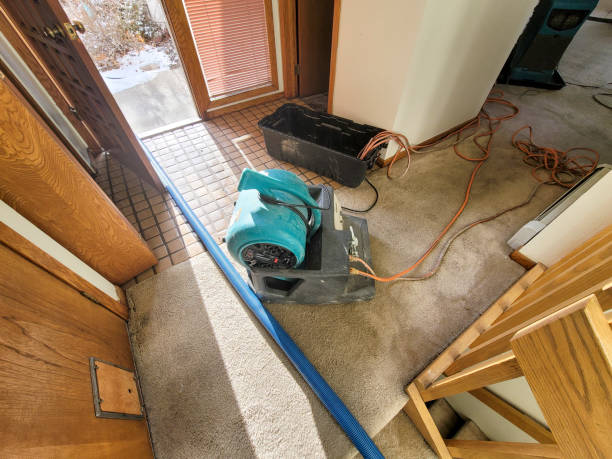 Best Water damage restoration near me  in Uvalde Estates, TX