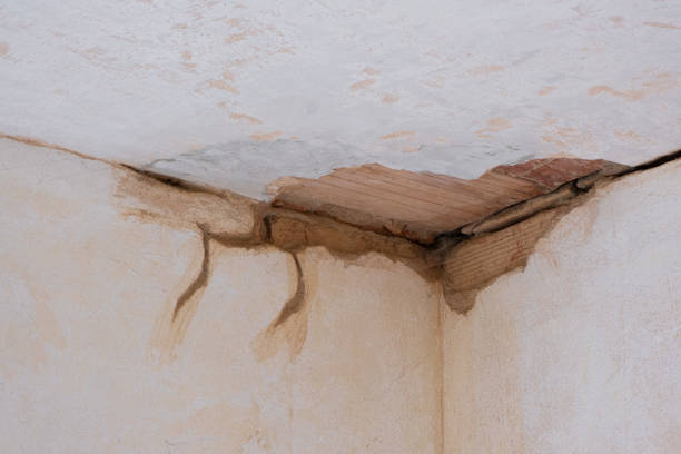 Best Emergency water damage restoration  in Uvalde Estates, TX