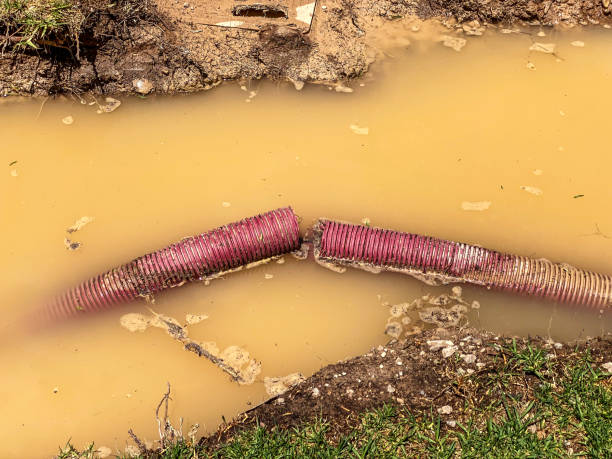 Professional Water damage restoration in Uvalde Estates, TX